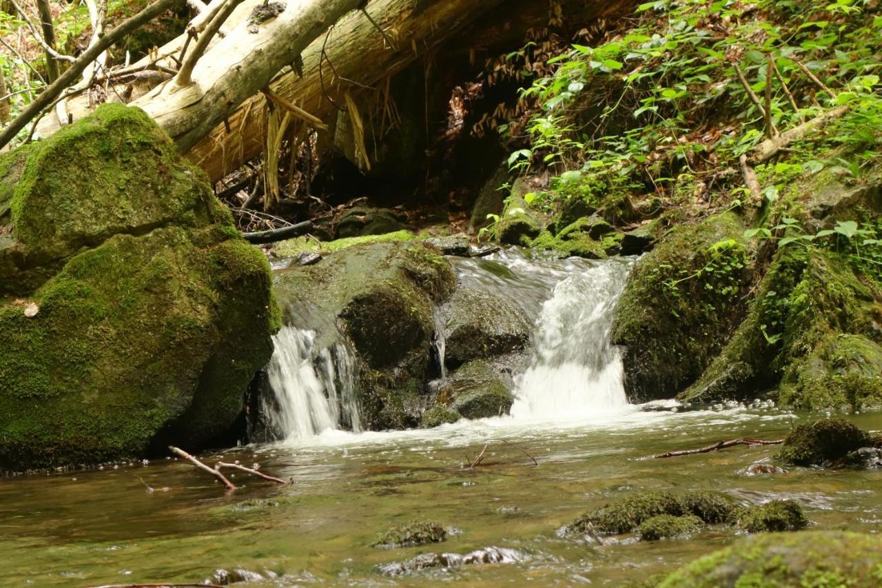 Penzion Chata Na Mlyne Horni Mesto Exteriör bild